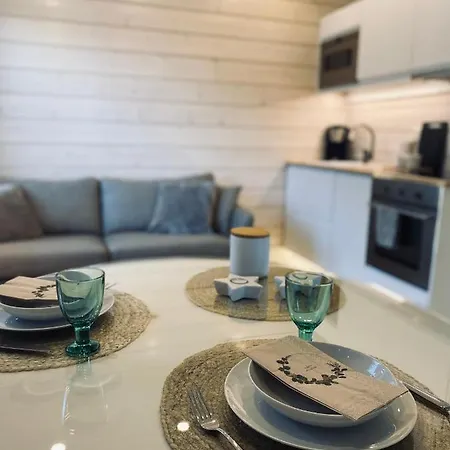 Ihana Asunto - The Nest With Sauna In Daire Vaasa